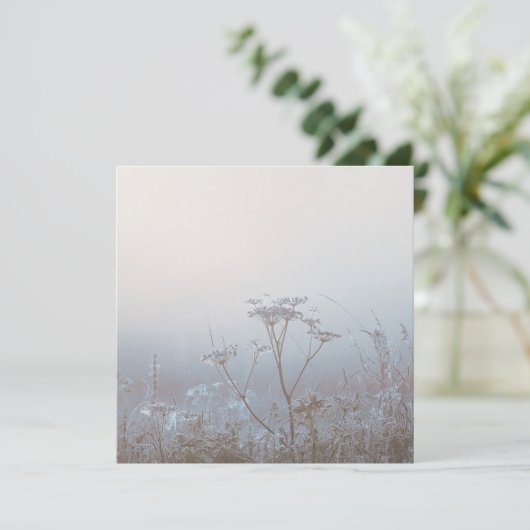 Soft Frosty Morning Nature カード (スタンド正面)