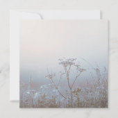 Soft Frosty Morning Nature カード (正面)