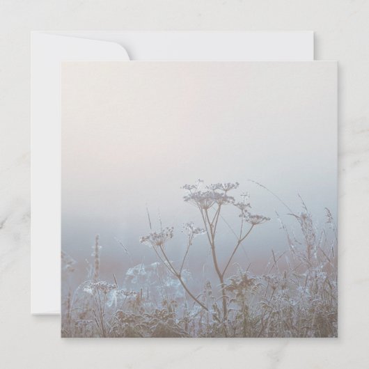 Soft Frosty Morning Nature カード (正面)