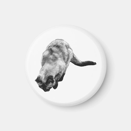 Soft Gaze, Calm Reminder マグネット (正面)