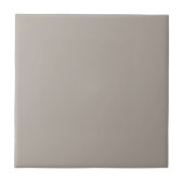 Soft Greige Ceramic Tile for Versatile Spaces タイル (正面)