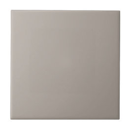 Soft Greige Ceramic Tile for Versatile Spaces タイル