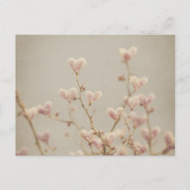Soft Heart Blossom Postcard – Romantic Botanical  ポストカード