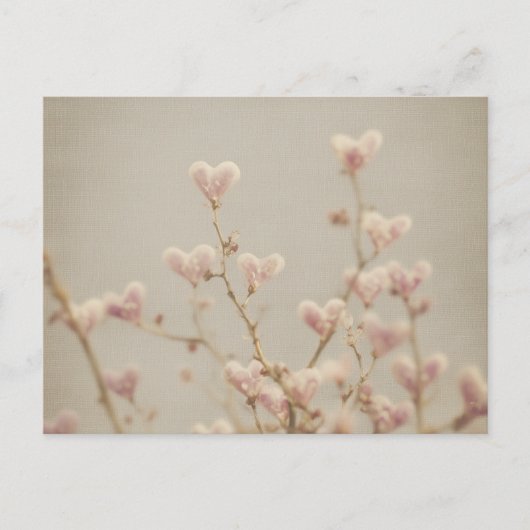 Soft Heart Blossom Postcard – Romantic Botanical  ポストカード (正面)