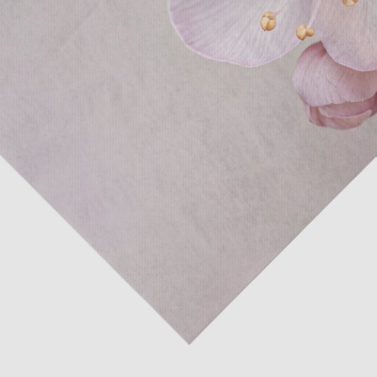 Soft Mauve Macro Sakura Blossom 薄葉紙 (詳細)