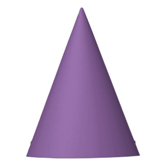Soft Muted Lavender Party Hat パーティーハット