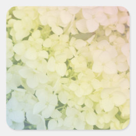  Soft Pastel Rainbow Hydrangea スクエアシール
