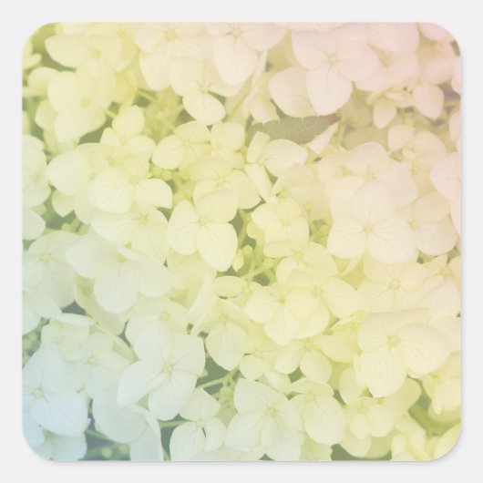 Soft Pastel Rainbow Hydrangea スクエアシール (正面)