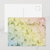 Soft Pastel Rainbow Hydrangea ポストカード (正面/裏面)