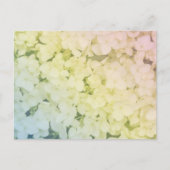 Soft Pastel Rainbow Hydrangea ポストカード (正面)