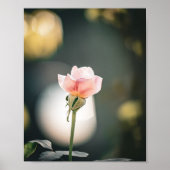 Soft Petals, Gentle Glow 🌸 ポスター (正面)