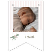 Soft Pink T Rex Tutu Girl Birthday Photo Banner バンティングフラッグ (第2の旗)