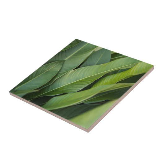 Soft ropical Green Leaves Botanical タイル (側面)