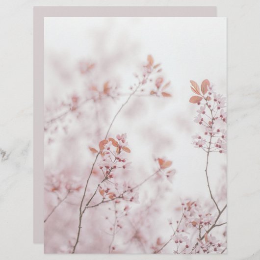 Soft sakura blooms scrapbook paper (正面/裏面)