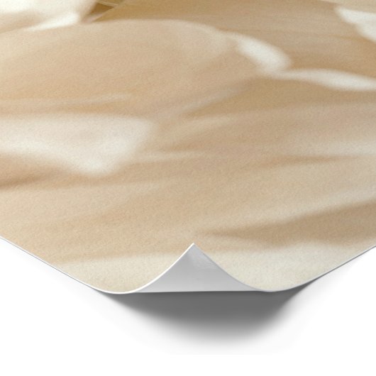 Soft White Floral ポスター (角)