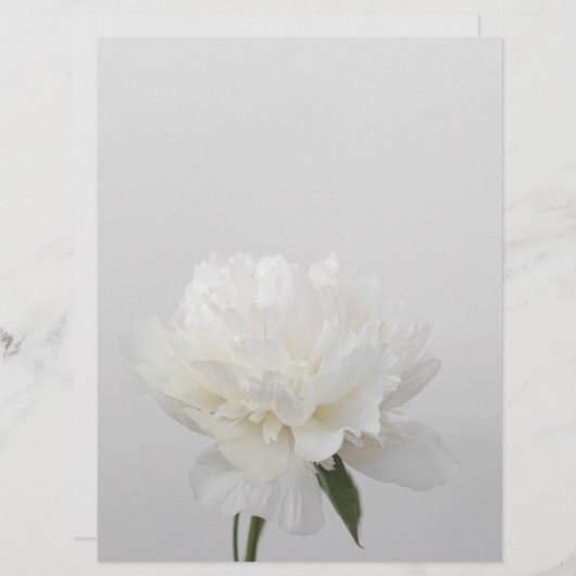 Soft white minimalist peony scrapbook paper (正面/裏面)