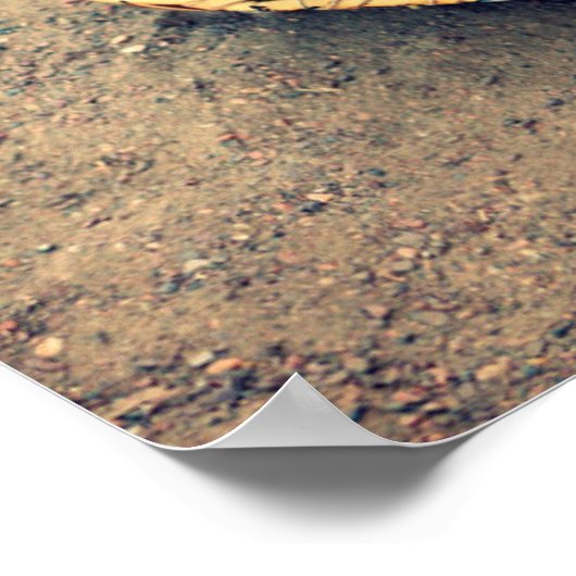 Softball Glove Poster ポスター (角)