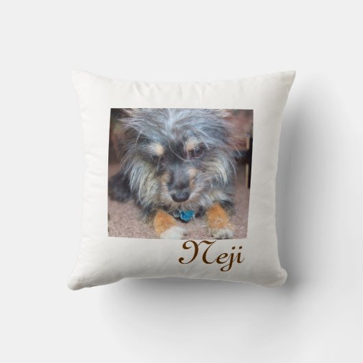 Sokka Nejiの枕 クッション (裏面)