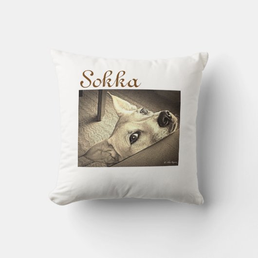 Sokka Nejiの枕 クッション (正面)