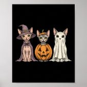 Soky Ghost Sphynx Cat Lover Pumpkin Halloween Long ポスター (正面)