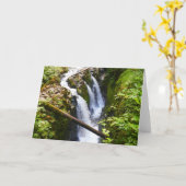 Sol Duc Falls I at Olympic National Park カード (黄色い花)