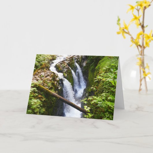 Sol Duc Falls I at Olympic National Park カード (黄色い花)