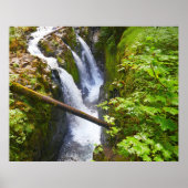 Sol Duc Falls I at Olympic National Park ポスター (正面)