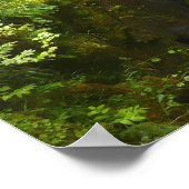 Sol Duc Falls I at Olympic National Park ポスター (角)