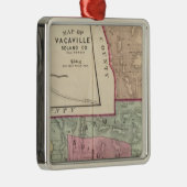 Solano Co 3 メタルオーナメント (右)