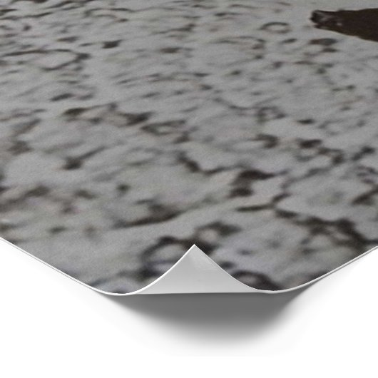 Solaris 日本の ポスター (角)