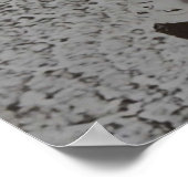 Solaris 日本の ポスター (角)