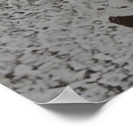 Solaris 日本の ポスター (角)