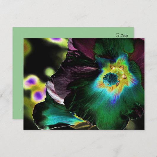 Solarized Hibiscus Photography – はがき (正面/裏面)