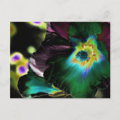 Solarized Hibiscus Photography – はがき (正面)