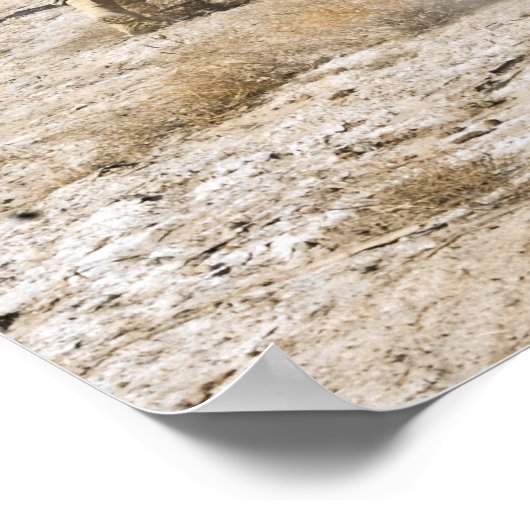 soldiers respond to a small arms attack ポスター (角)