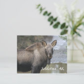 , Soldotna, AK ポストカード (スタンド正面)