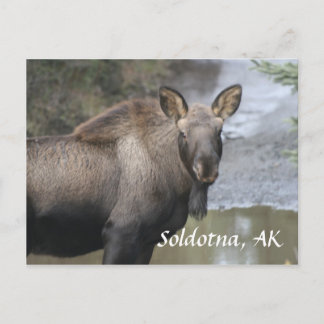 , Soldotna, AK ポストカード