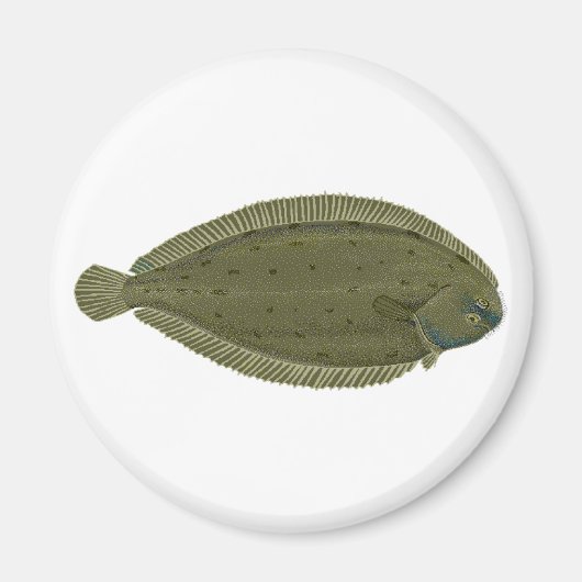 Sole Fishロゴ マグネット (正面)