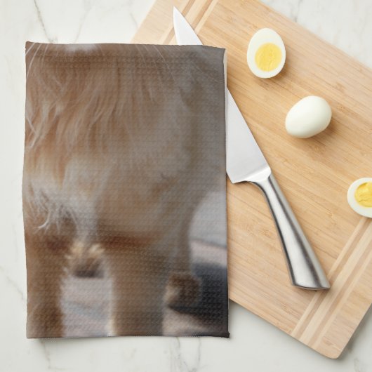 Soleil キッチンタオル (四つ折り)