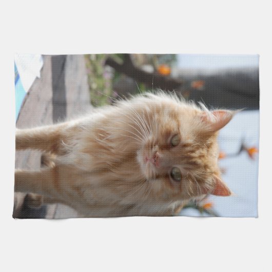 Soleil キッチンタオル (横)