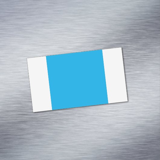 Solid Cyan Blue Background  マグネット名刺 (インサイチュ)
