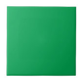 Solid Green Background タイル (正面)