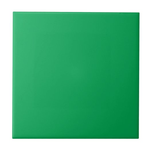 Solid Green Background  タイル (正面)