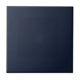 Solid Midnight Blue | #121d34 タイル