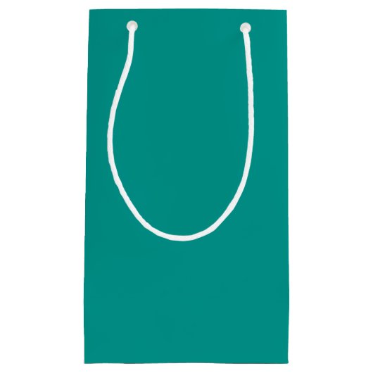 Solid Teal Green スモールペーパーバッグ (正面)