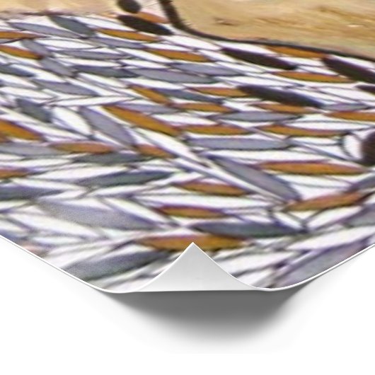 Solidariedade Urbana ポスター (コーナー)