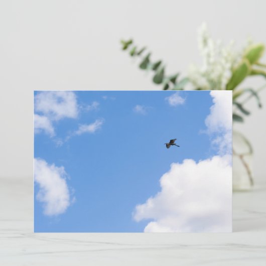 Solitary Bird Soaring Through Bright Blue Sky with 招待状 (スタンド正面)