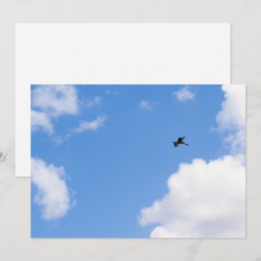 Solitary Bird Soaring Through Bright Blue Sky with 招待状 (正面/裏面)