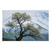 Solitary Blossoming Tree and Snowy Mountains ポスター (正面)