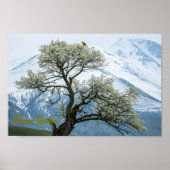 Solitary Blossoming Tree and Snowy Mountains ポスター (正面)